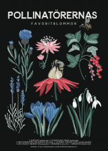 Poster, pollinatörernas favoritblommor
